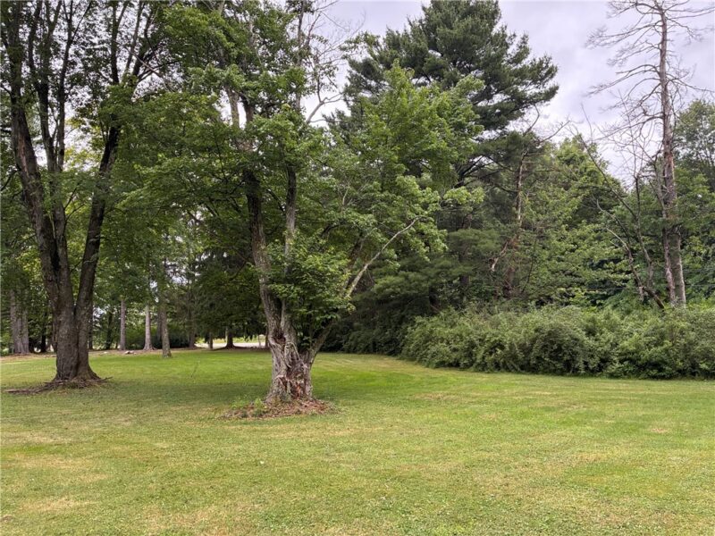 397 Hadley Road — photo 6