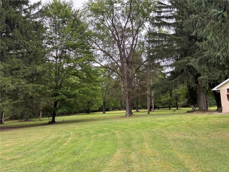 397 Hadley Road — photo 7