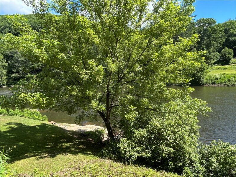 16555 PA 949 — photo 5