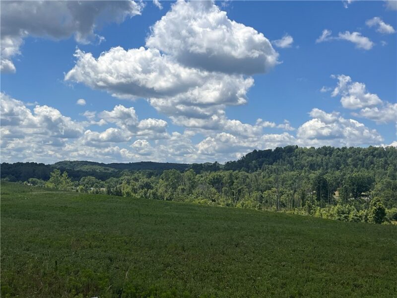 Lot 1D & 3 Beaver Dam Rd — photo 2