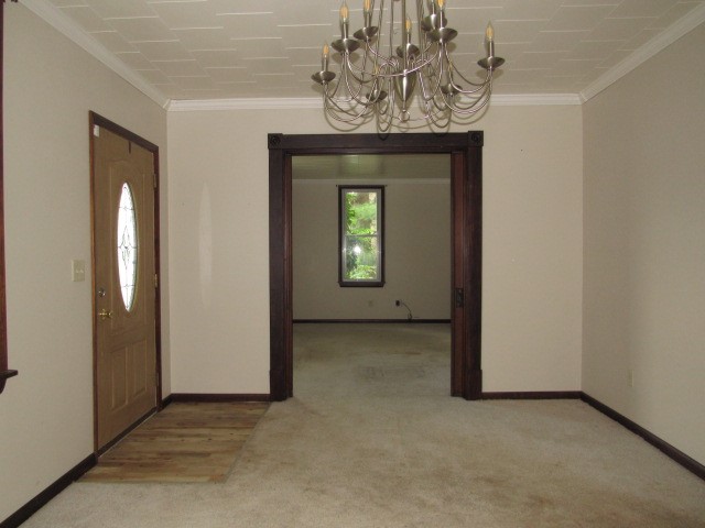 319 Miller Lane — photo 7