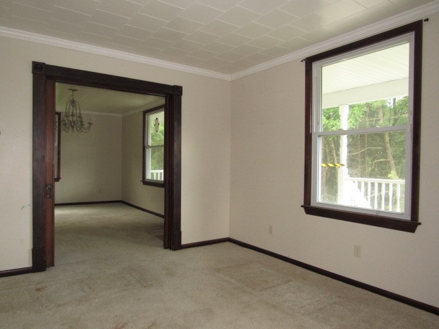 319 Miller Lane — photo 8