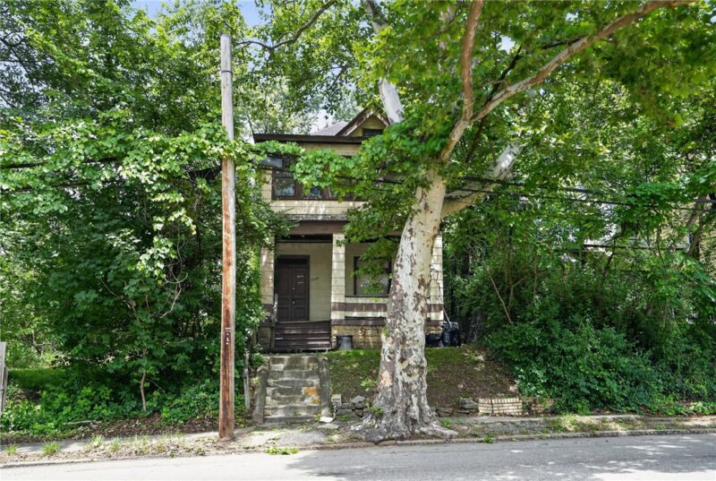 1127 South Ave — photo 4