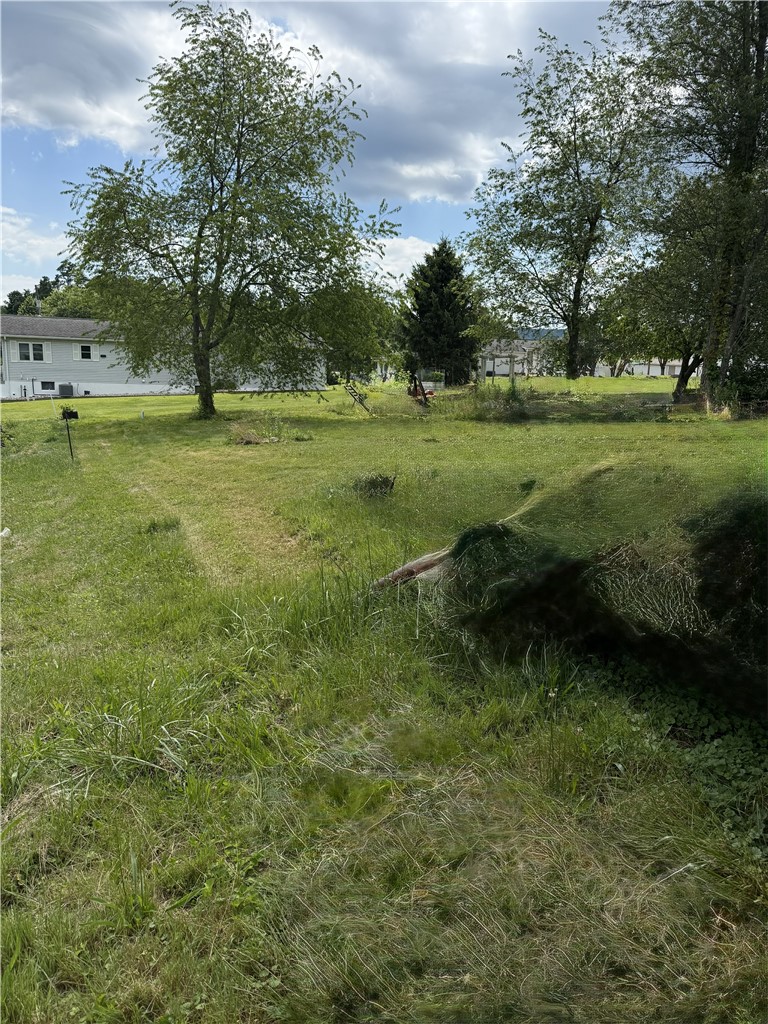 119 Pine St. — photo 2
