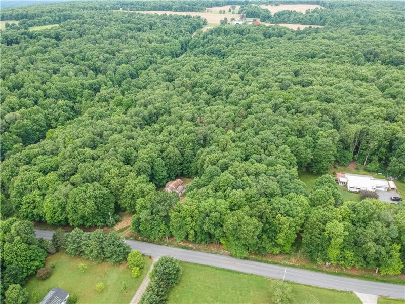 365 Klein Rd — photo 7