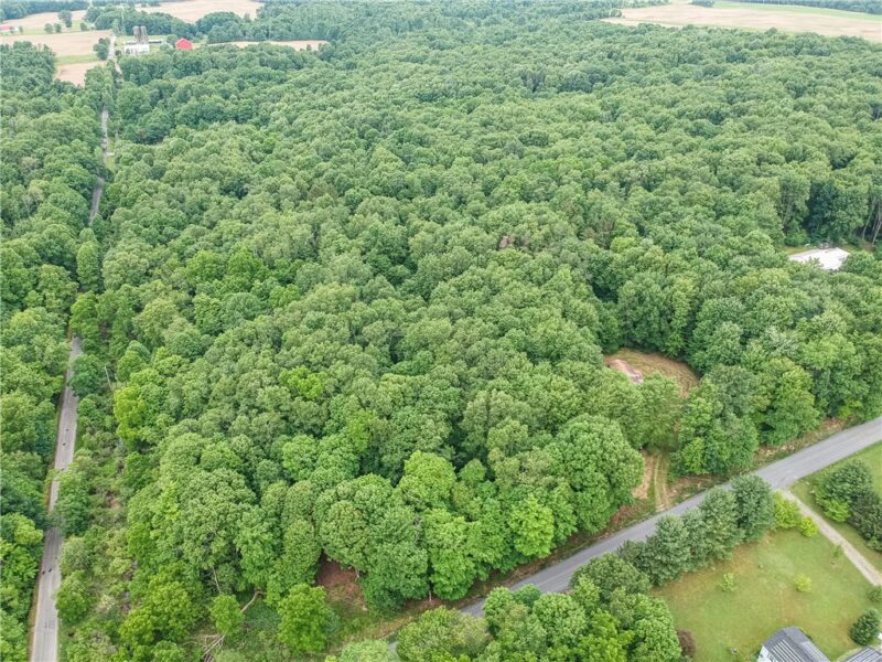 365 Klein Rd — photo 8