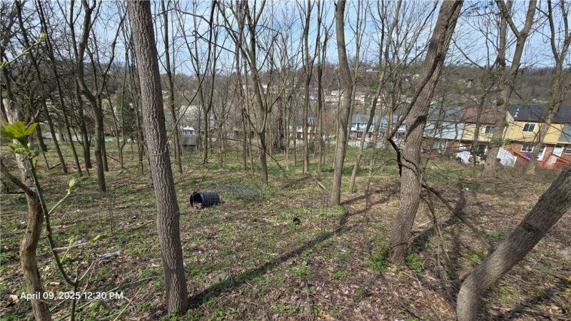 0 Shadowlawn Dr — photo 3