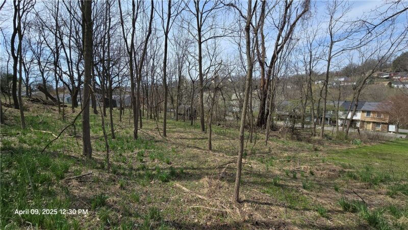 0 Shadowlawn Dr — photo 4