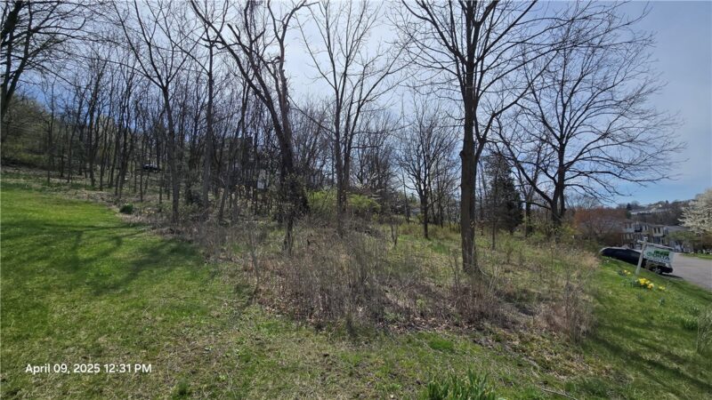 0 Shadowlawn Dr — photo 5