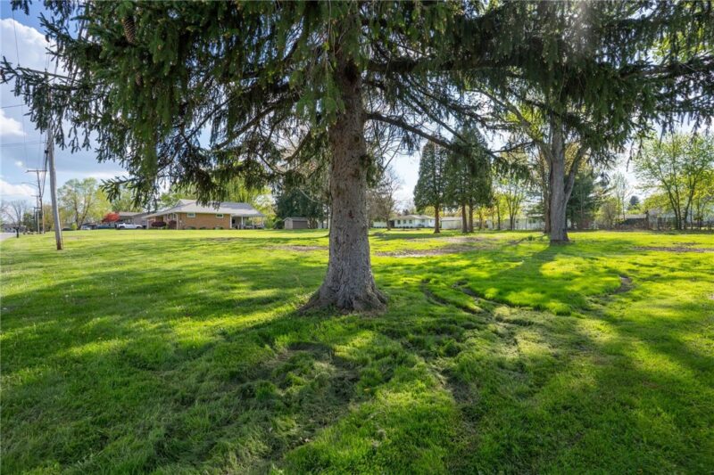 856 Wilhelm Rd — photo 6