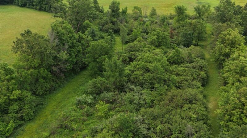 00 Wymps Gap Road — photo 3