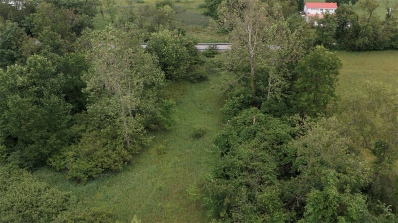 00 Wymps Gap Road — photo 8