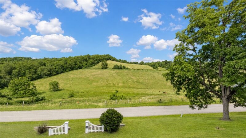 225 Scott Hollow Rd — photo 8
