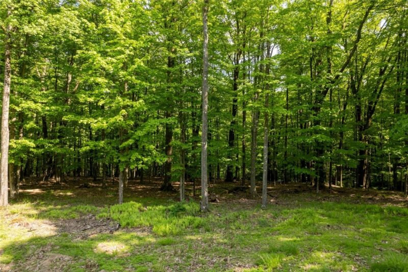 13A 210 Crooked Island Rd. — photo 2