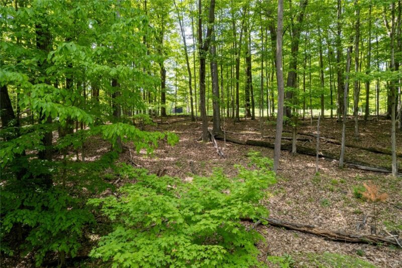13A 210 Crooked Island Rd. — photo 3