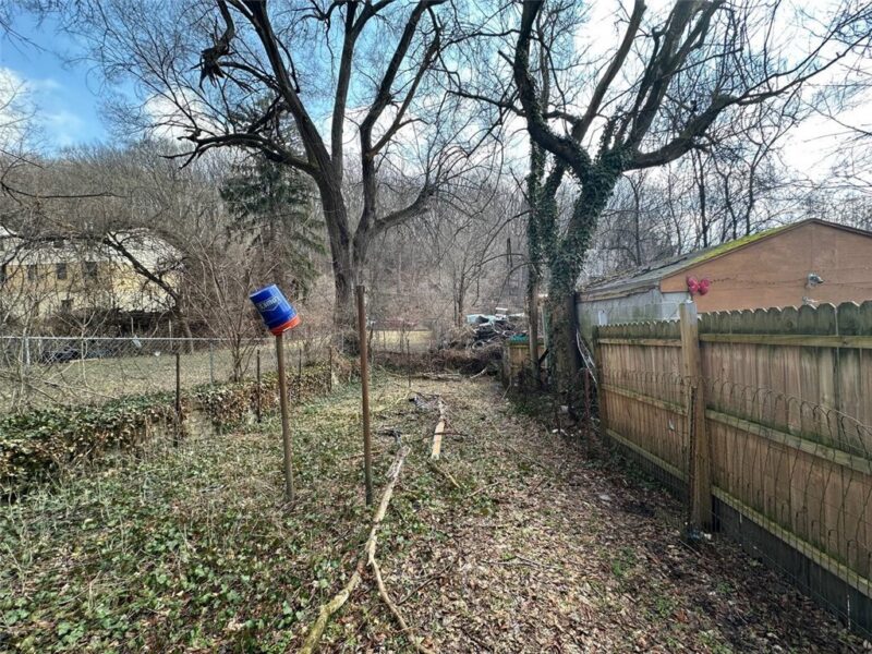 234 Renova St — photo 8