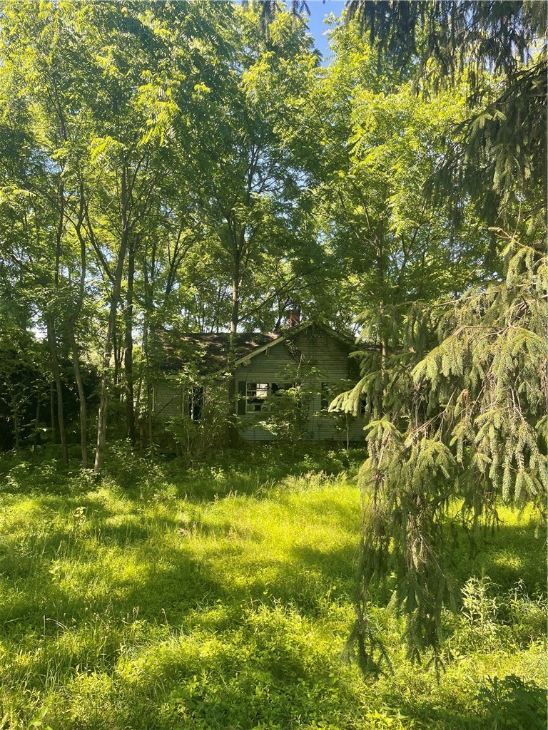 102 Watters Station Rd — photo 1