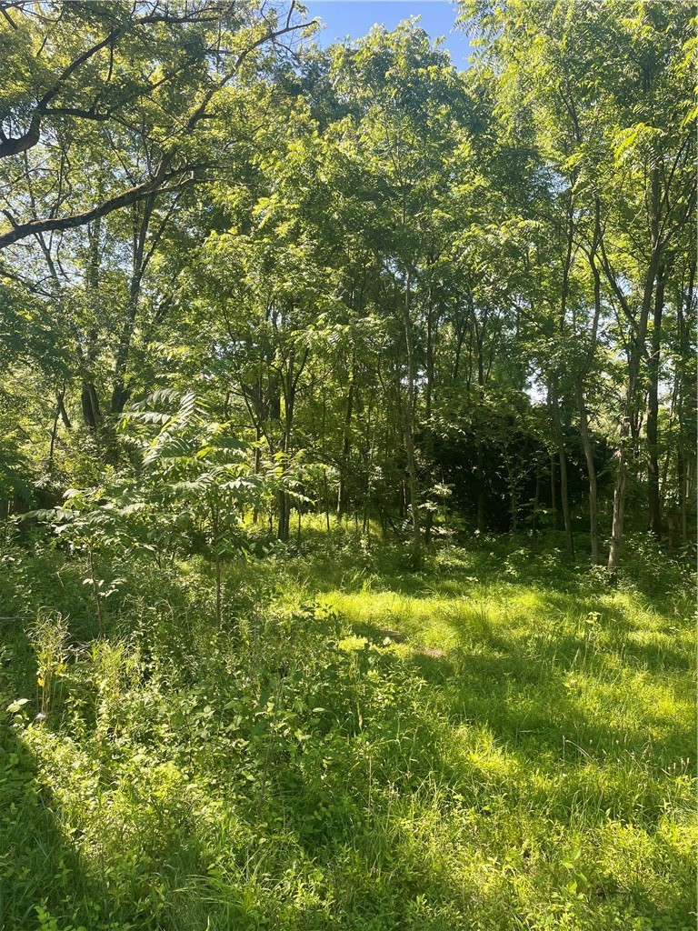 102 Watters Station Rd — photo 2