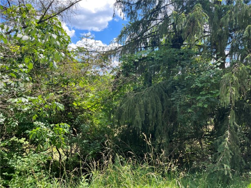 00 Calhoun Road — photo 5