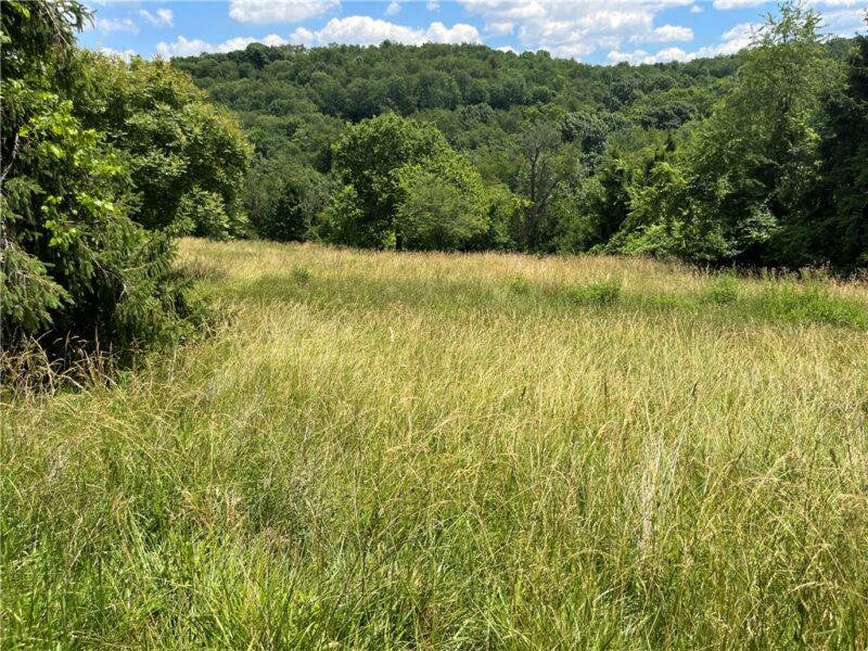 00 Calhoun Road — photo 6