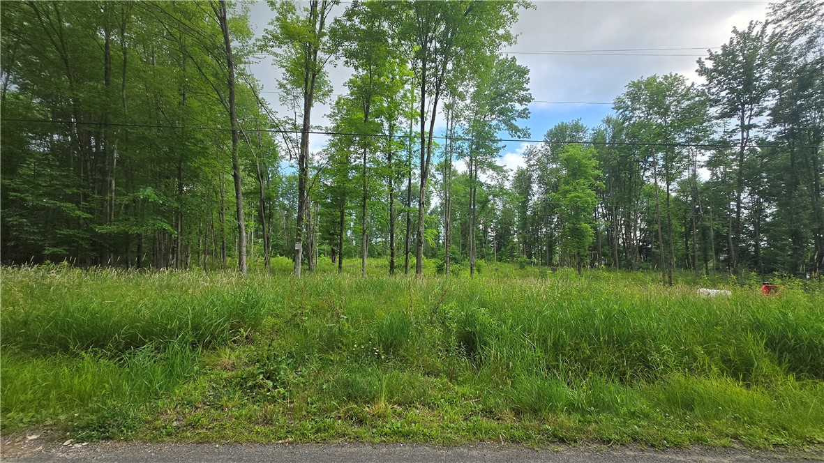 17 Ball Hill Rd — photo 1