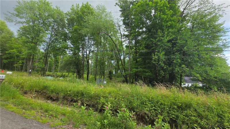 17 Ball Hill Rd — photo 2