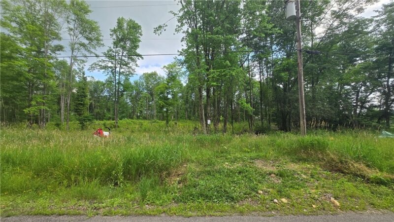 17 Ball Hill Rd — photo 3