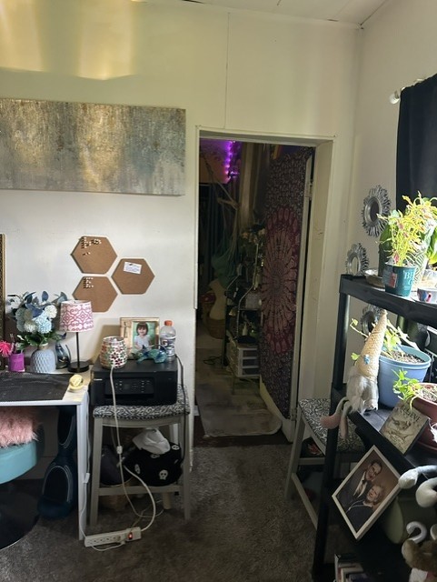 308 Phillips St — photo 4