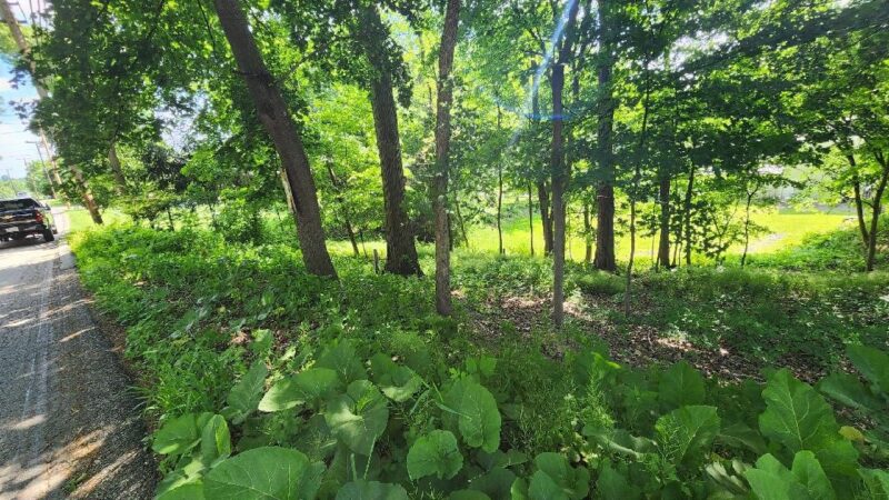 0 South Park Rd — photo 3