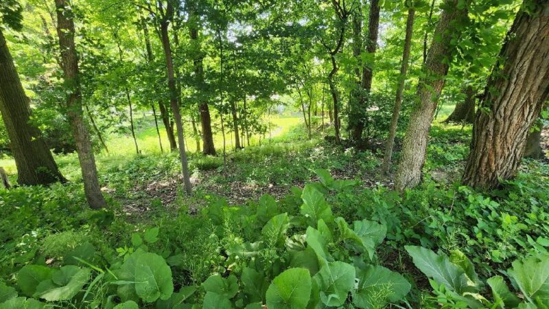 0 South Park Rd — photo 4