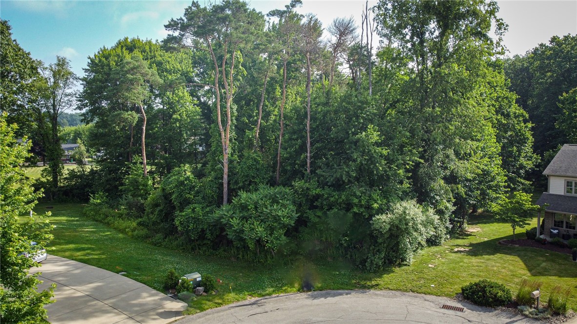 0000 Pinecrest — photo 1