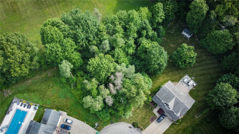 0000 Pinecrest — photo 4