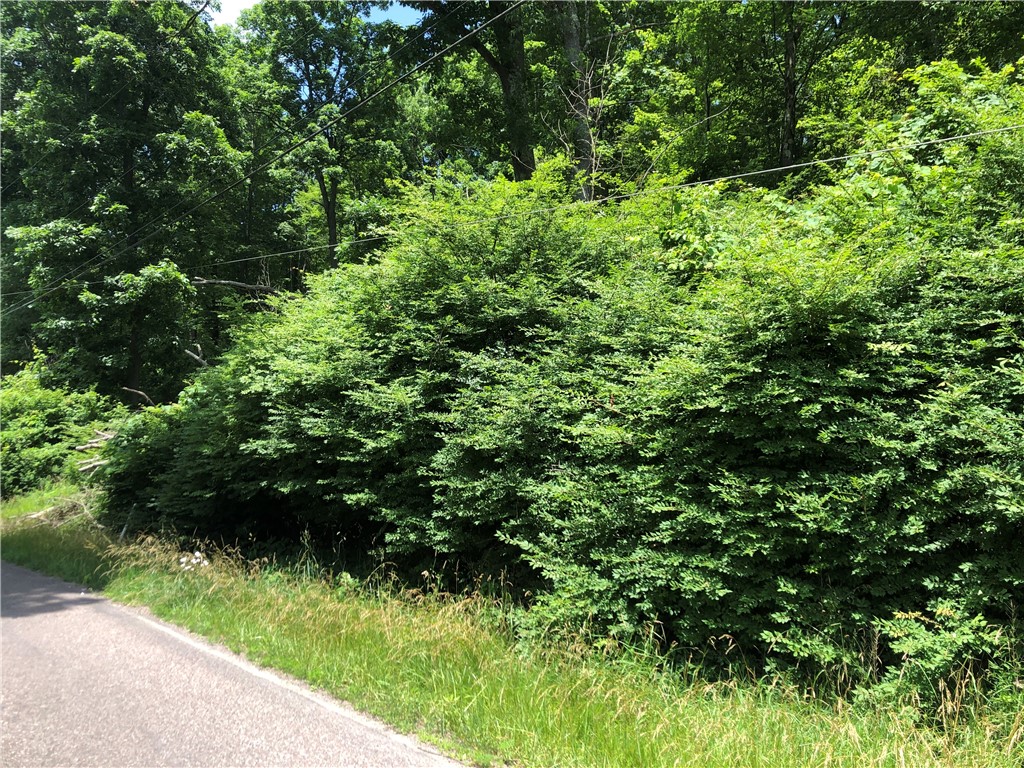 224-225 OLD MILL ROAD — photo 1