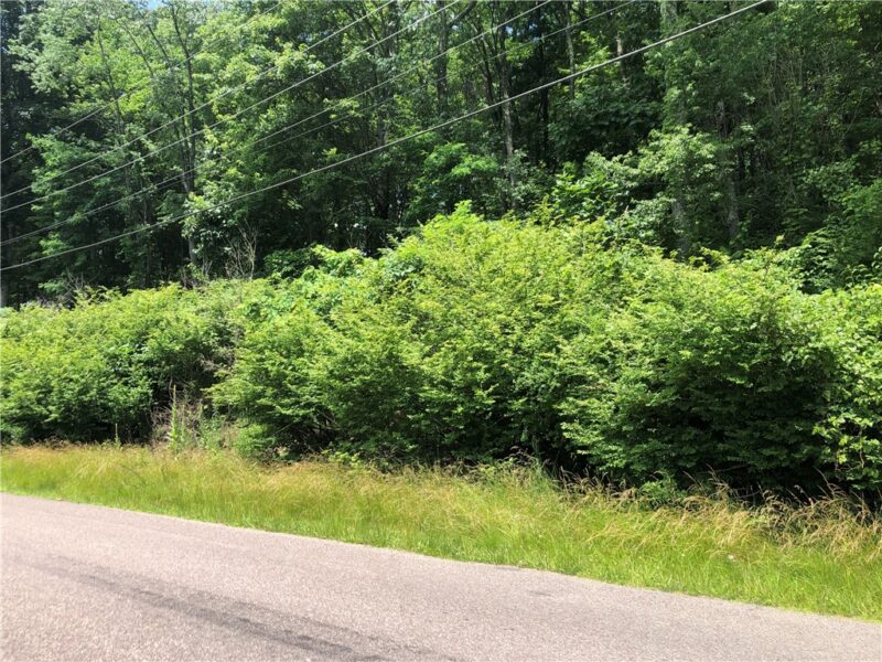 224-225 OLD MILL ROAD — photo 4