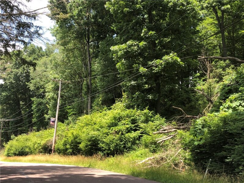 224-225 OLD MILL ROAD — photo 7