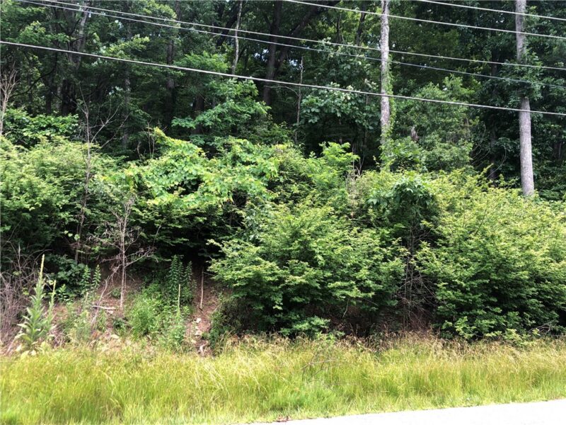 224-225 OLD MILL ROAD — photo 8