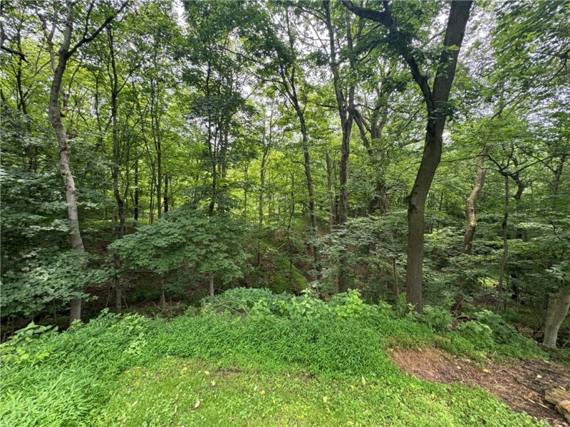 373 Lakeview Drive — photo 6