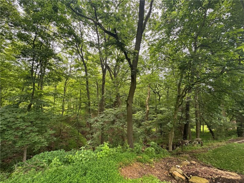 373 Lakeview Drive — photo 7