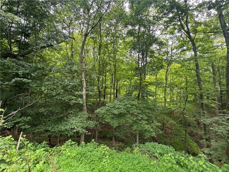 373 Lakeview Drive — photo 8