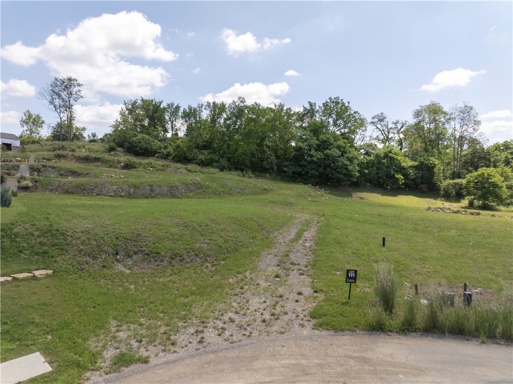 140 (Lot 111)Fair Acres Dr — photo 1