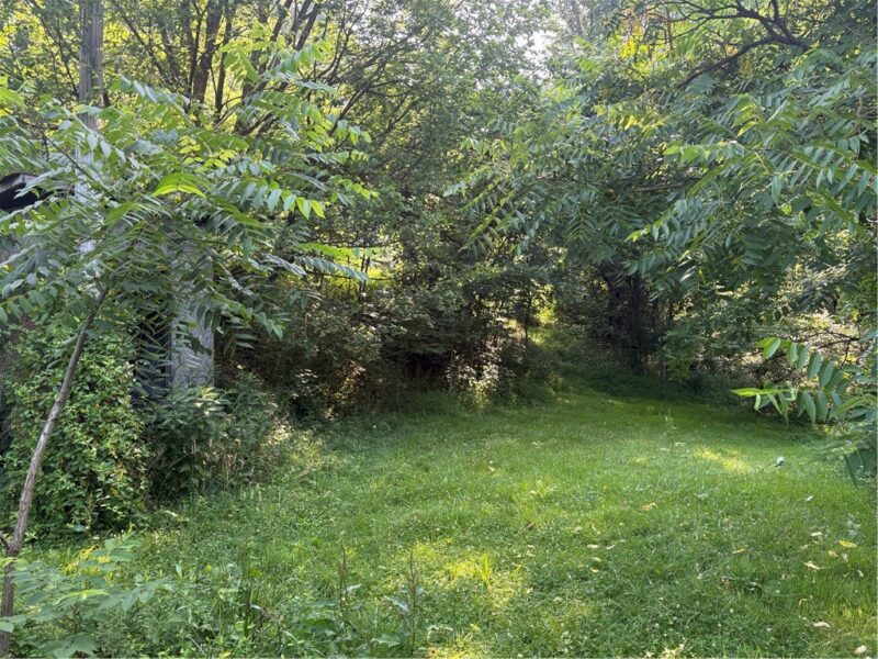 244 Swink Hill Rd — photo 3