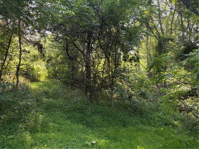 244 Swink Hill Rd — photo 4