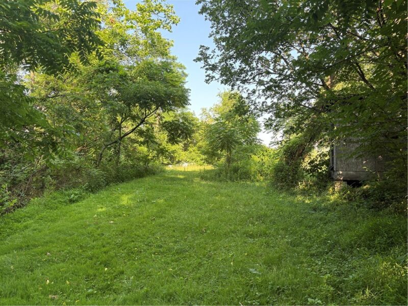 244 Swink Hill Rd — photo 5