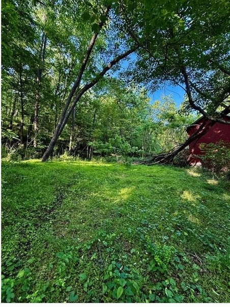 0 nellie school rd. — photo 1