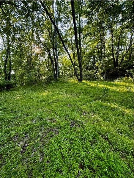 0 nellie school rd. — photo 2