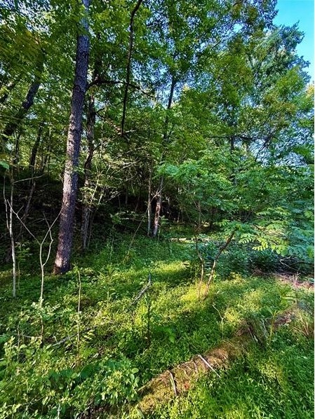 0 nellie school rd. — photo 3