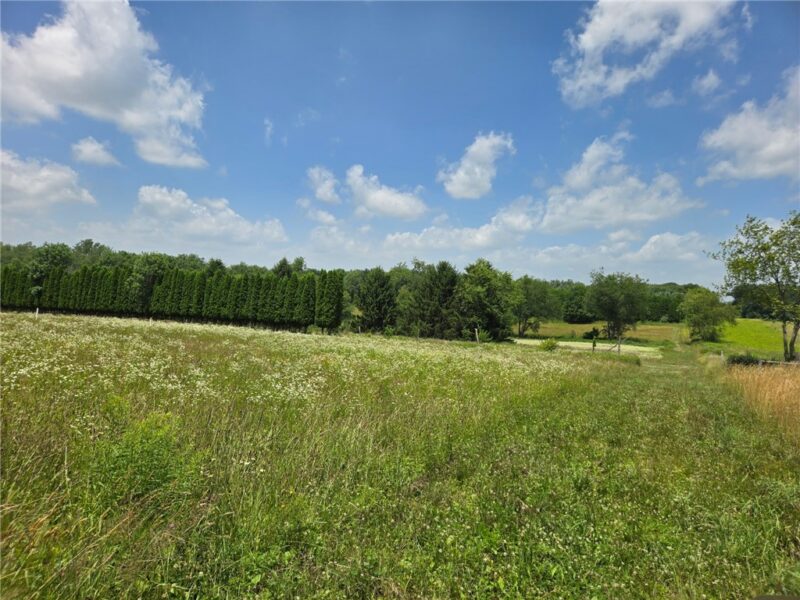 139 Pallack Ln — photo 4