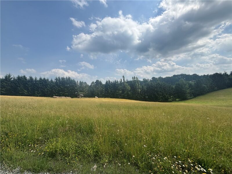 1111 Rosella Dr — photo 4