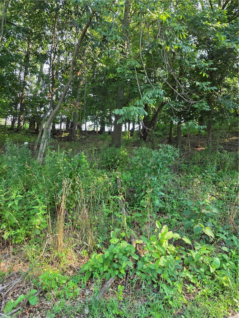 926 Morrison St — photo 1