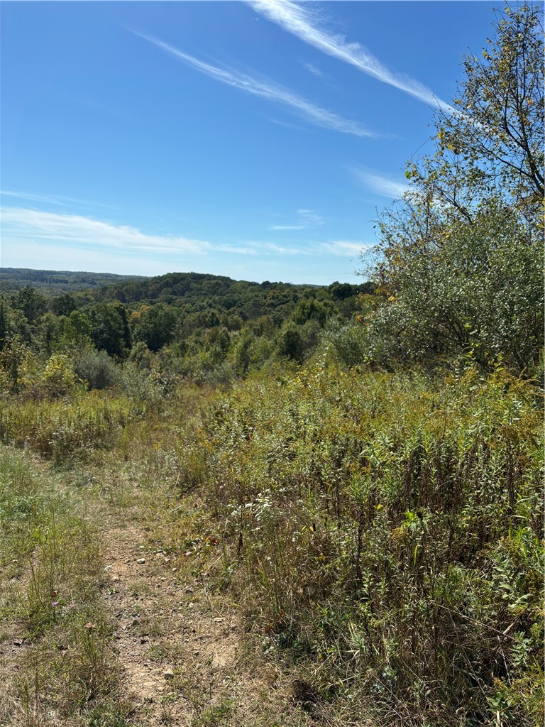 Lot#1 Christie Rd — photo 2